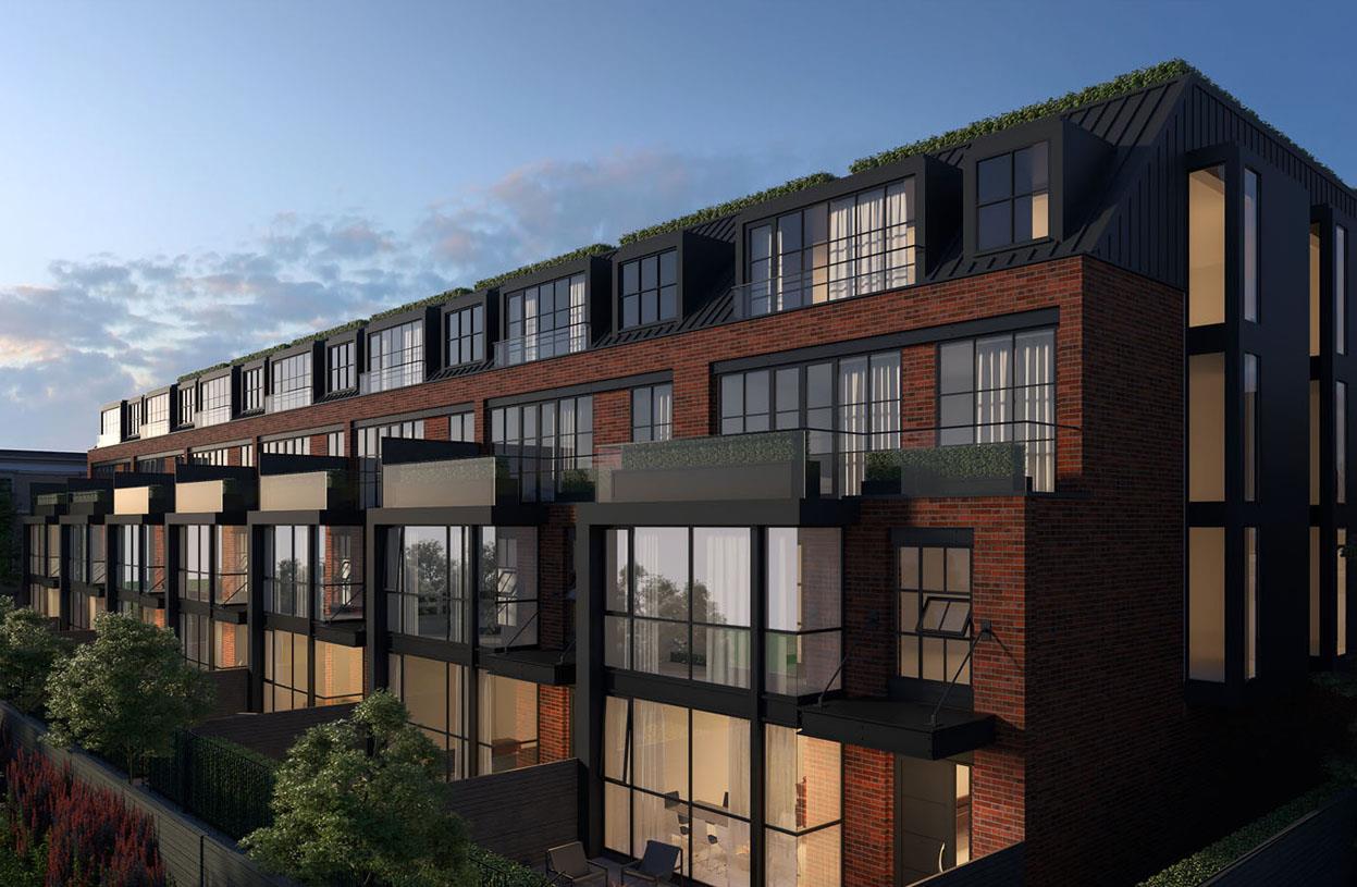36 Birch rendering
