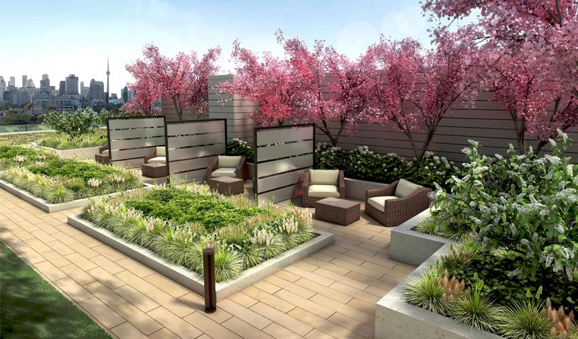 The Davies rendering