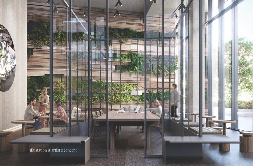 31 Condominiums rendering