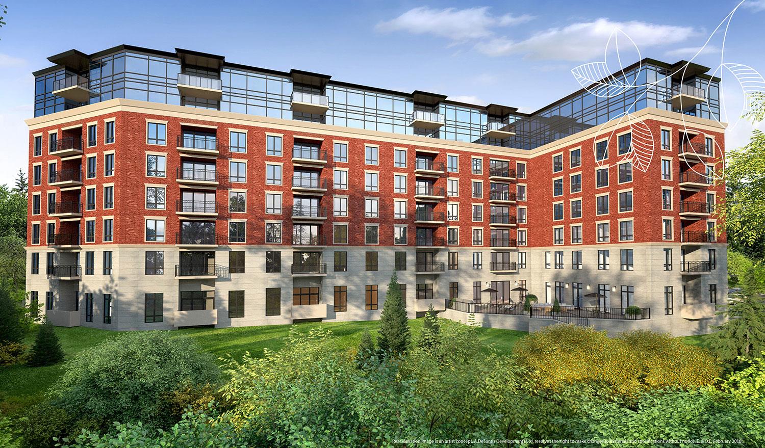 The Jackson rendering