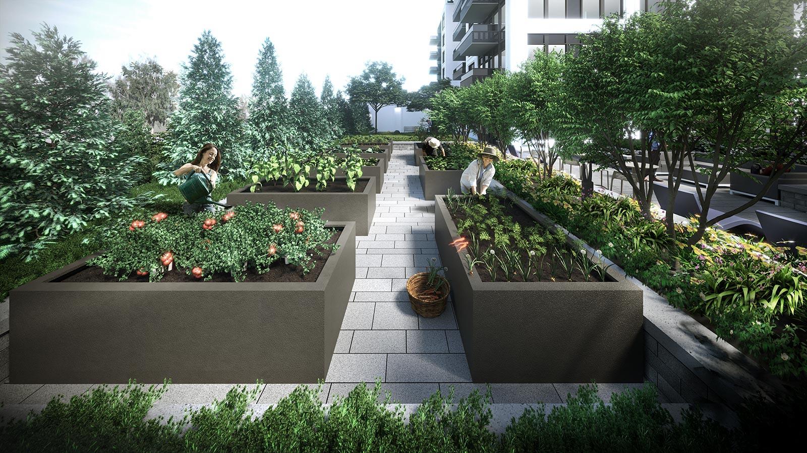 Evermore rendering