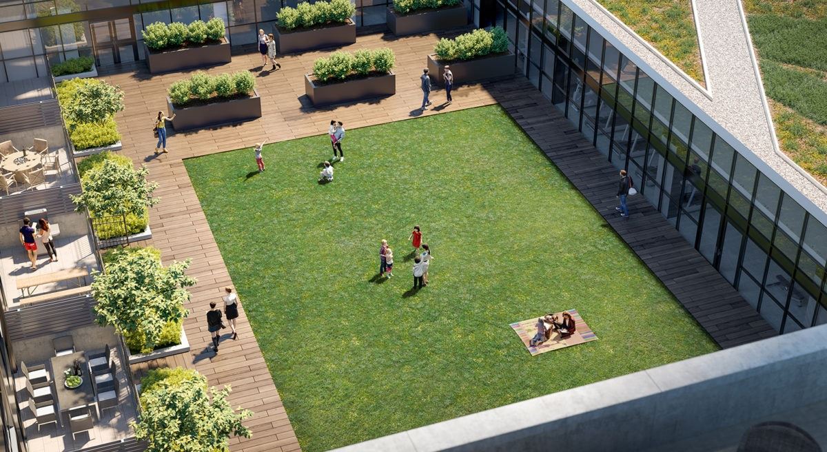 Avia rendering