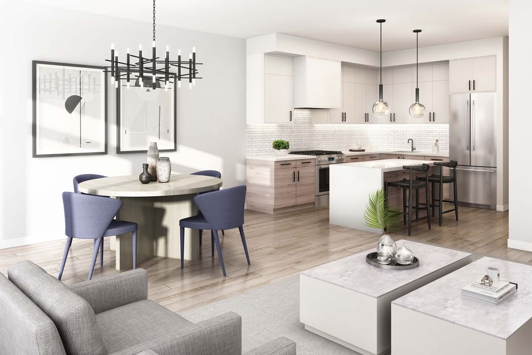 High Point Urban Towns rendering