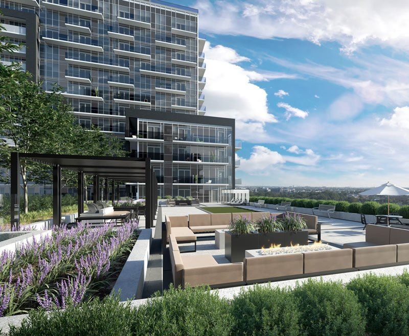 Paradigm Grand rendering