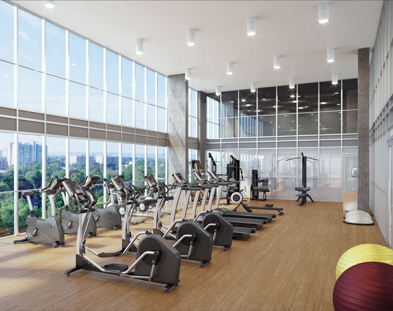 Paradigm Grand rendering