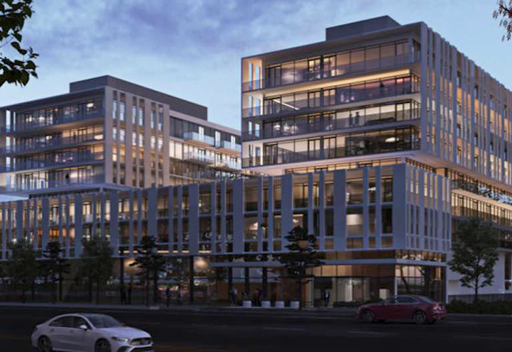 Reine rendering