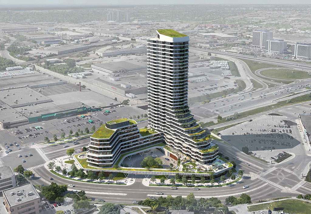 The Clove rendering