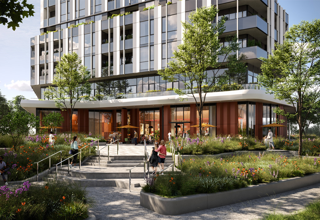 The Clove rendering