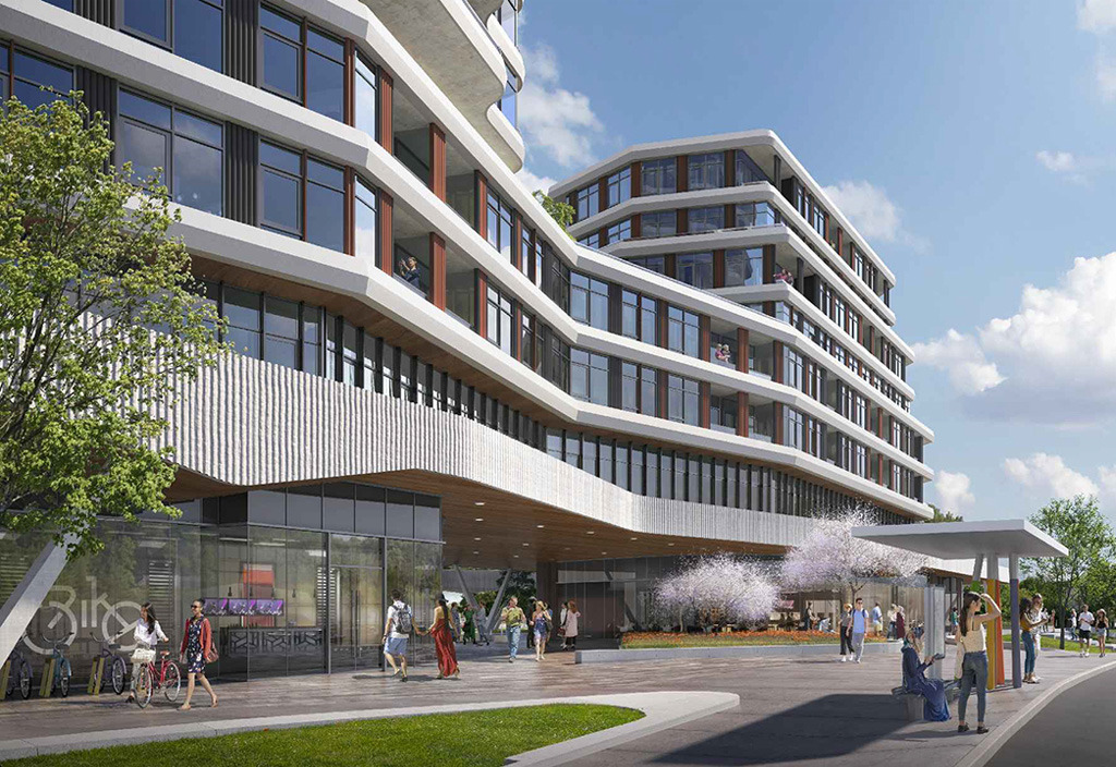 The Clove rendering