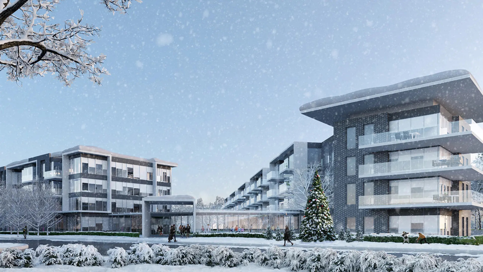 Friday Harbour rendering