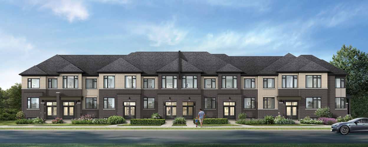 Seaton Winding Woods rendering
