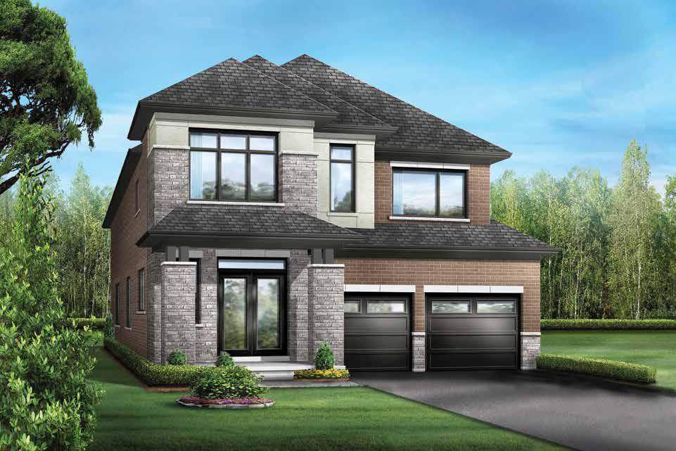 Novella rendering