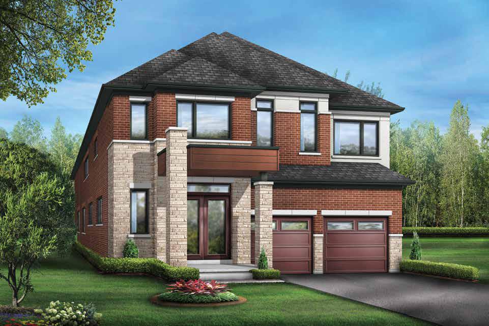 Novella rendering