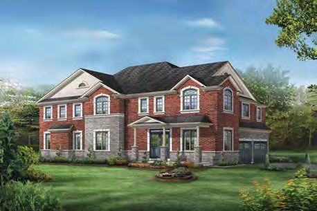 Novella rendering