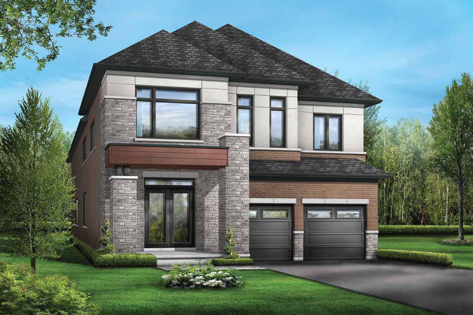 Novella rendering