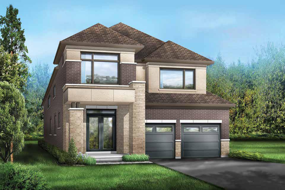 Novella rendering