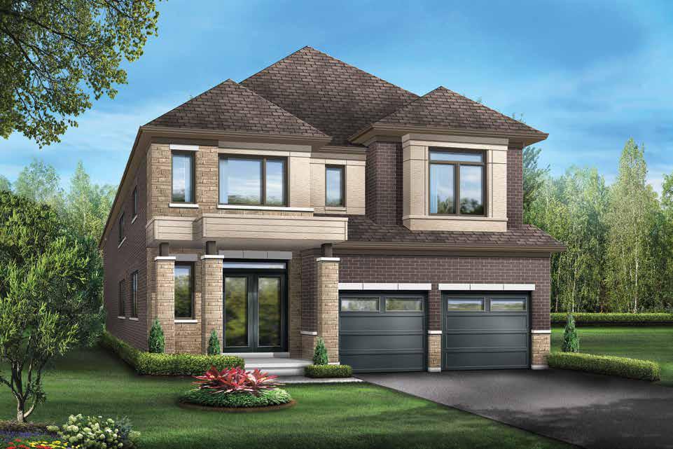 Novella rendering