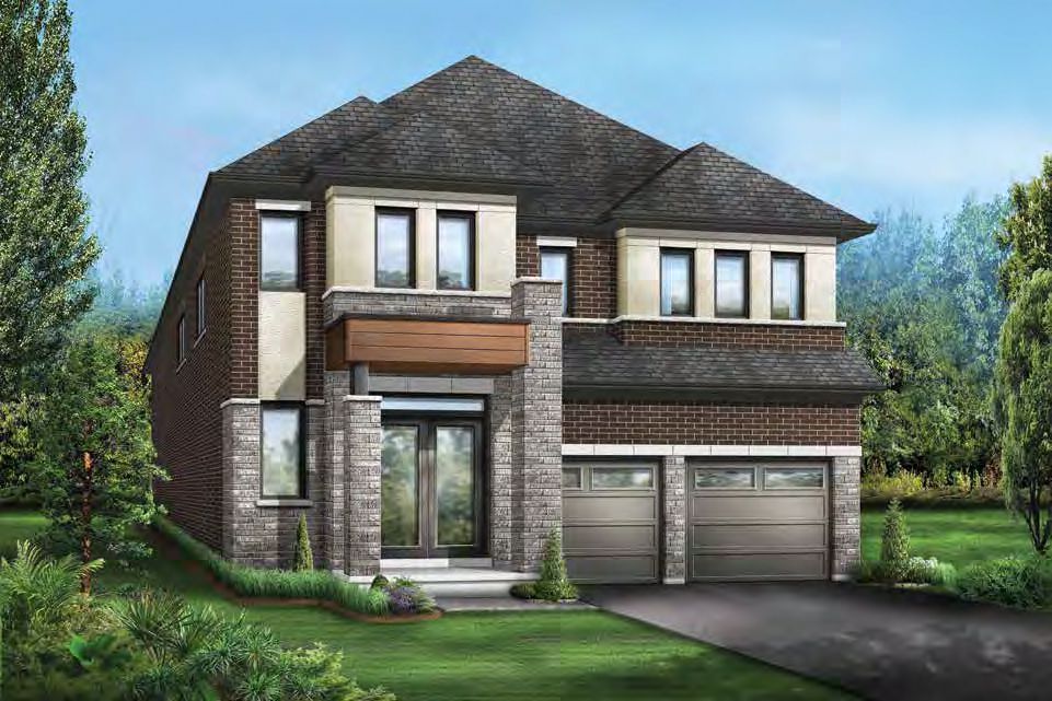 Novella rendering