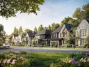 Iris by Acorn rendering
